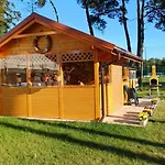 Sternik *