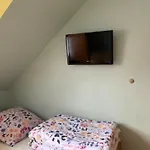 Sternik *