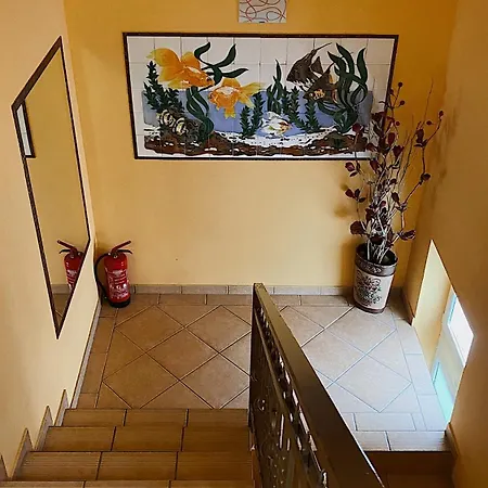 Sternik Holiday home