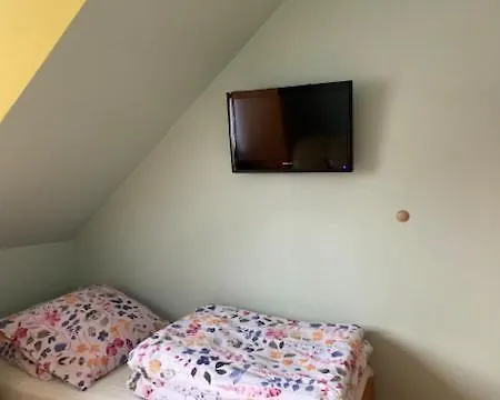 Sternik *